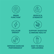 Six circular icons on turquoise background showing brain, muscle, lightning bolt, DNA helix, dumbbell, and shaker bottle with