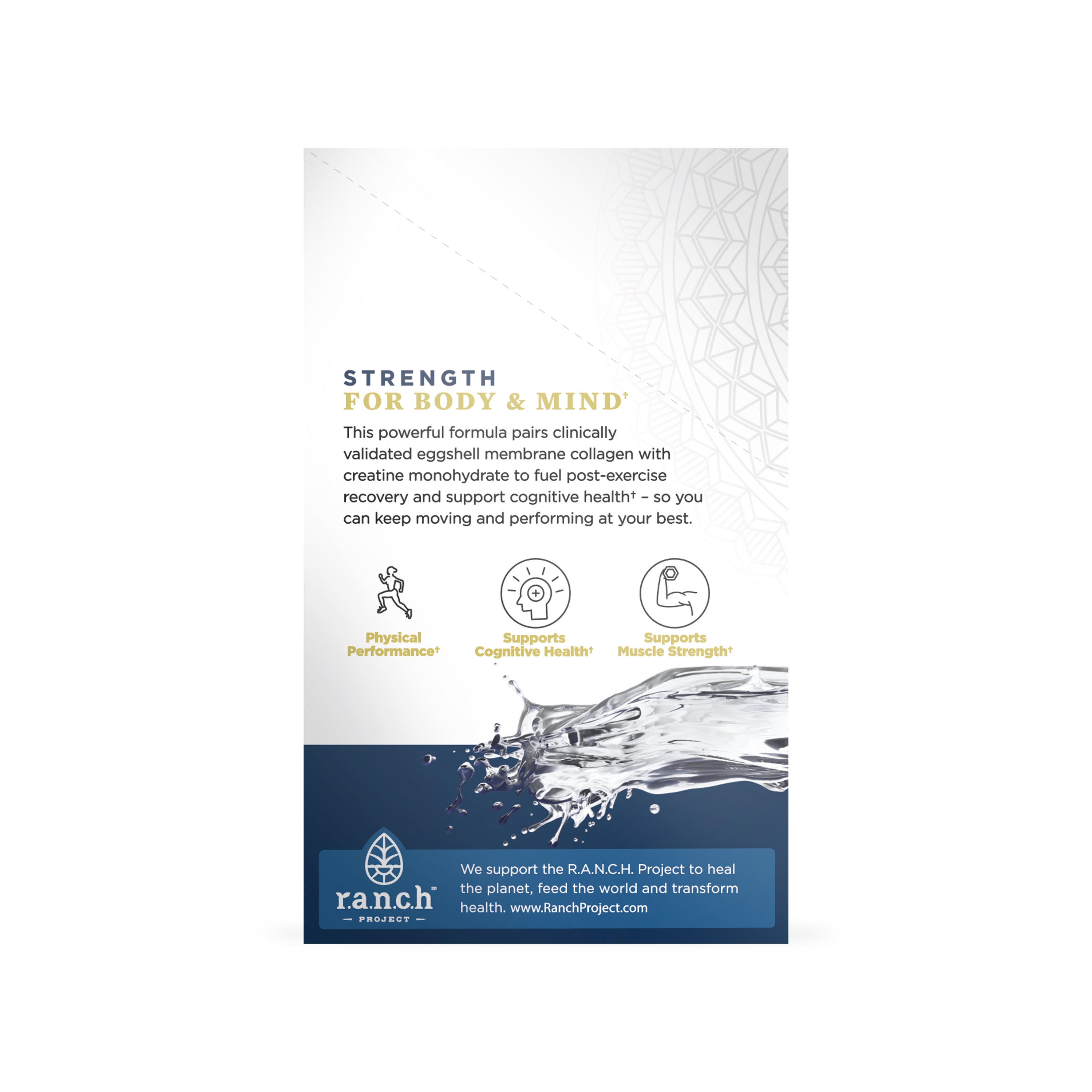 Creatine Plus Collagen Stick Packs, by Ancient Nutrition