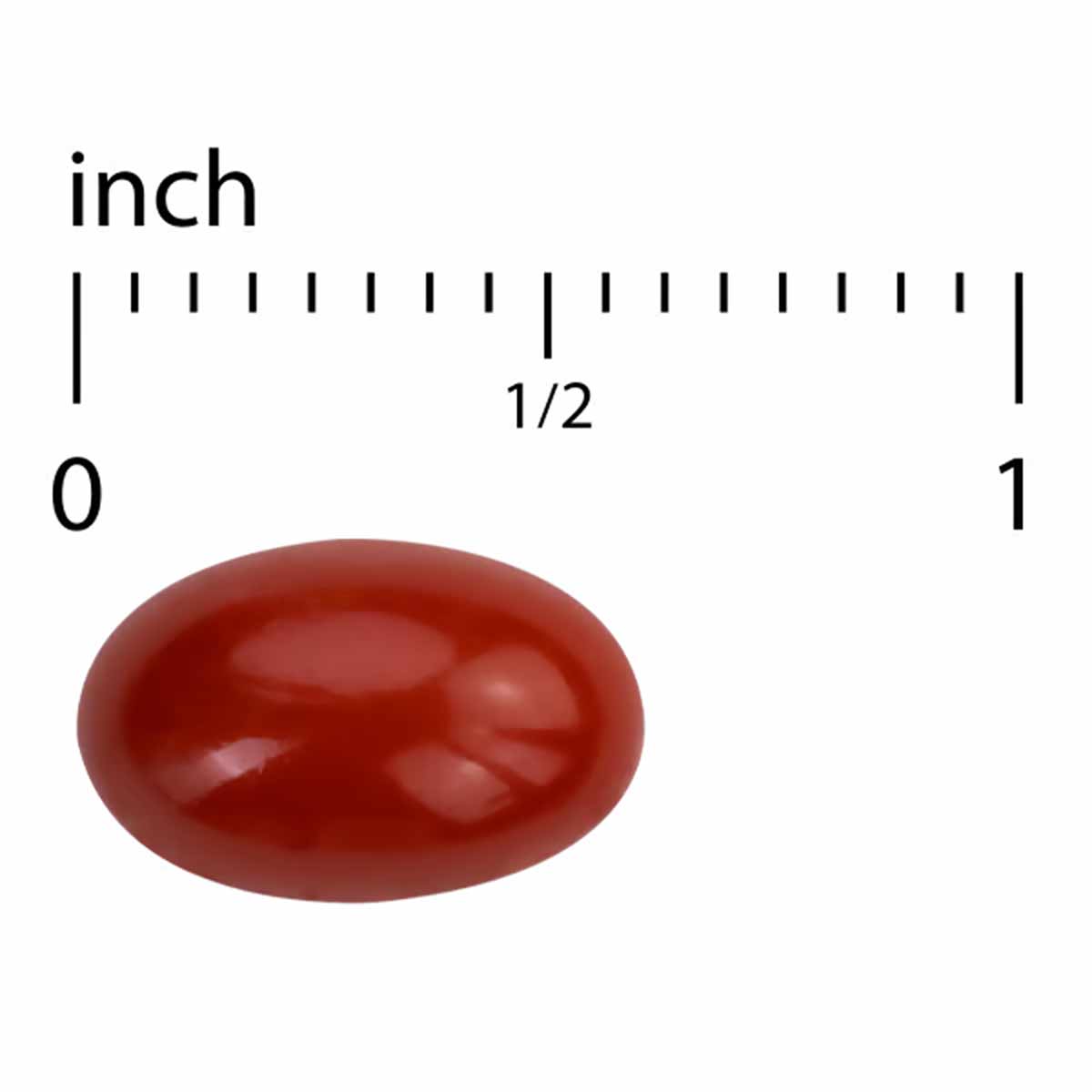 Red oval softgel capsule shown next to ruler measuring approximately half inch in length.