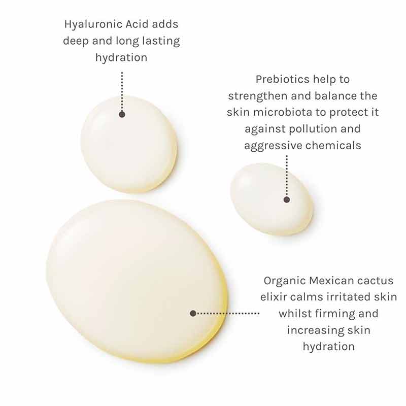 Daily Defence Moisture Mist, 3.4 Oz, by Evolve Organic Beauty, image #3