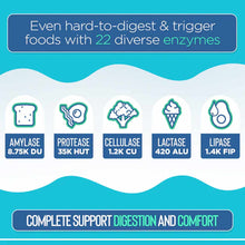 Infographic showing five digestive enzymes with icons for bread, egg, broccoli, ice cream, and avocado, displaying enzyme typ