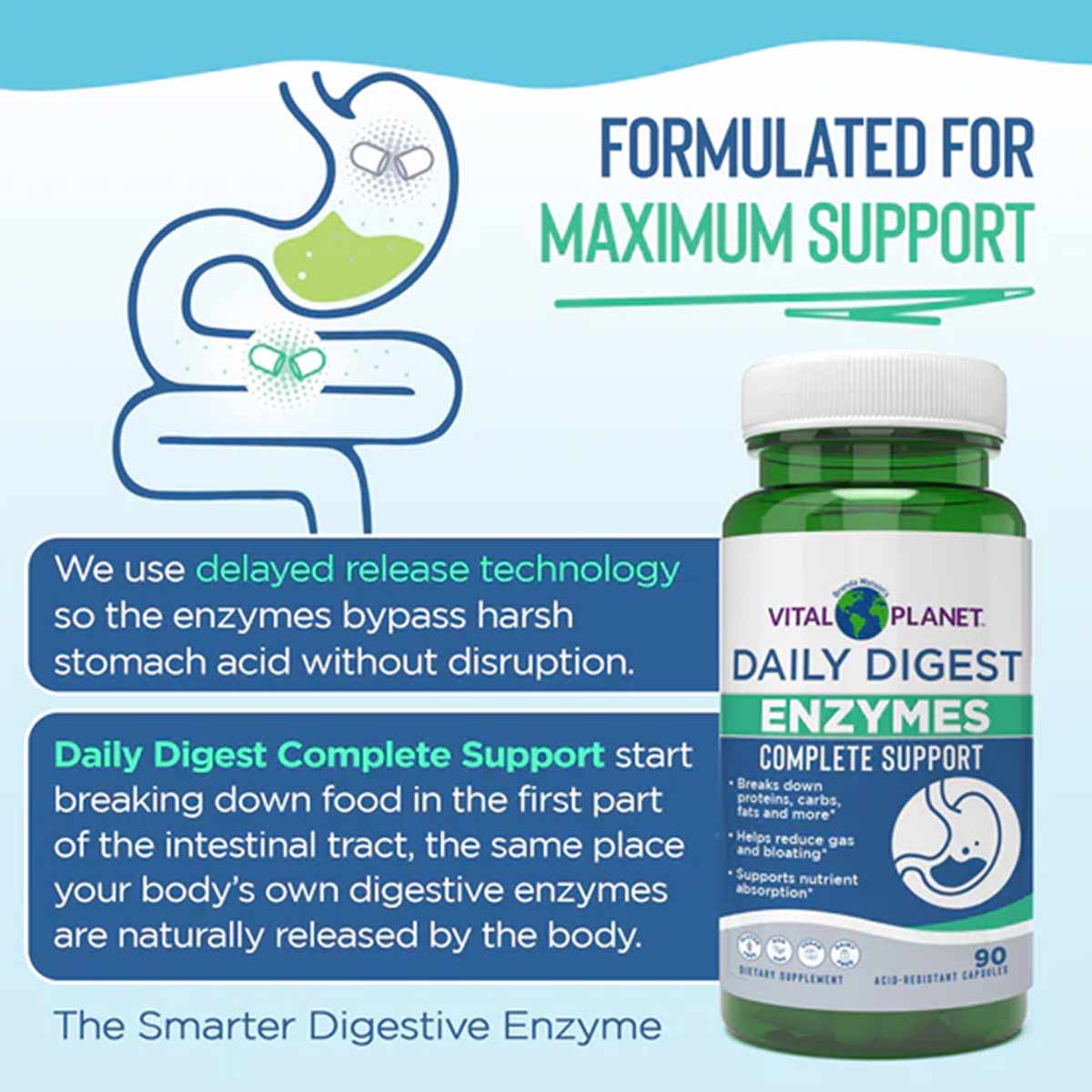 Vital Planet Daily Digest Enzymes Complete Support bottle with white cap and green label, 90 capsules.