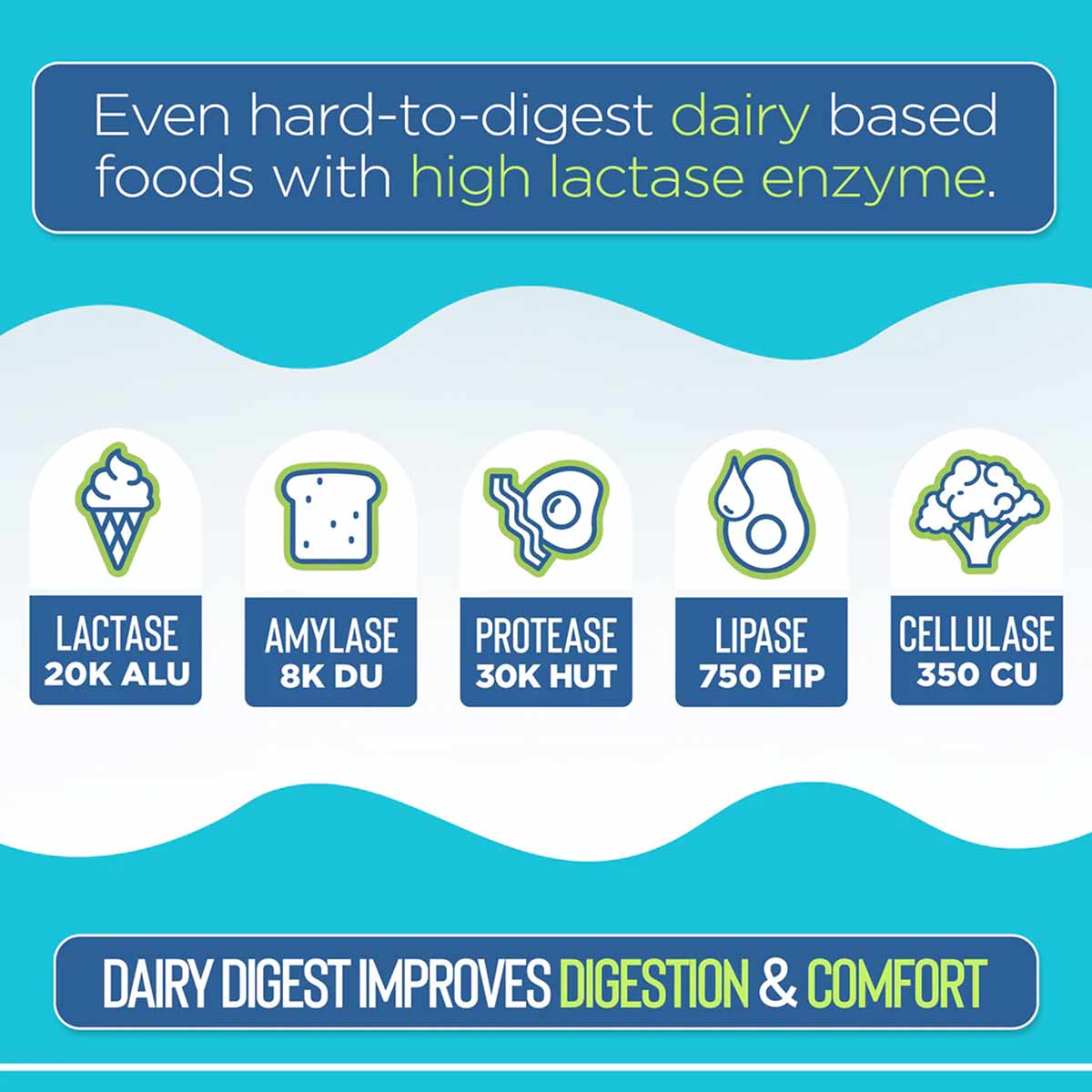 Infographic showing five enzyme types with icons: lactase, amylase, protease, lipase, and cellulase on turquoise background.
