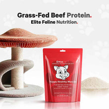DNA PET Happy Healthy Muscles Powder for Cats, by Codeage, image #5
