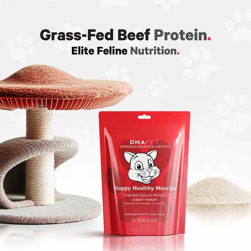 DNA PET Happy Healthy Muscles Powder for Cats, by Codeage, image #5