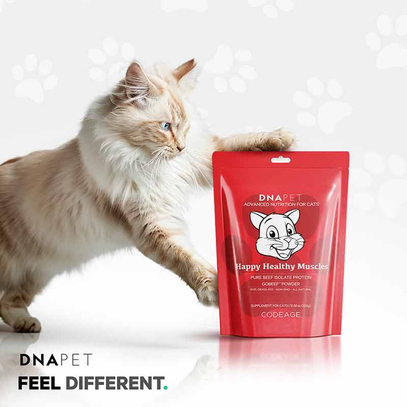 DNA PET Happy Healthy Muscles Powder for Cats, by Codeage, image #6