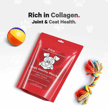 DNA PET Happy Healthy Muscles Powder for Dogs, by Codeage, image #4
