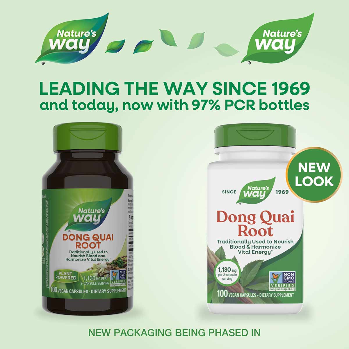 Two Nature's Way Dong Quai Root supplement bottles with green caps: dark glass bottle on left, white bottle on right labeled 
