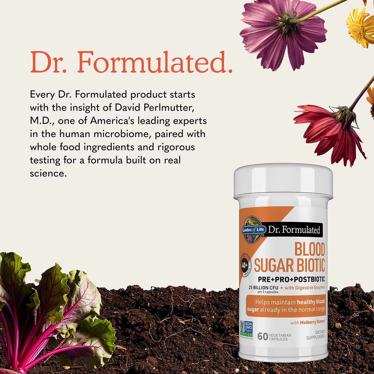 Dr. Formulated Blood Sugar Biotic, by Garden of Life