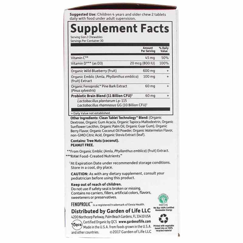 Dr. Formulated Brain Health Attention & Focus for Kids, by Garden of Life, image #2