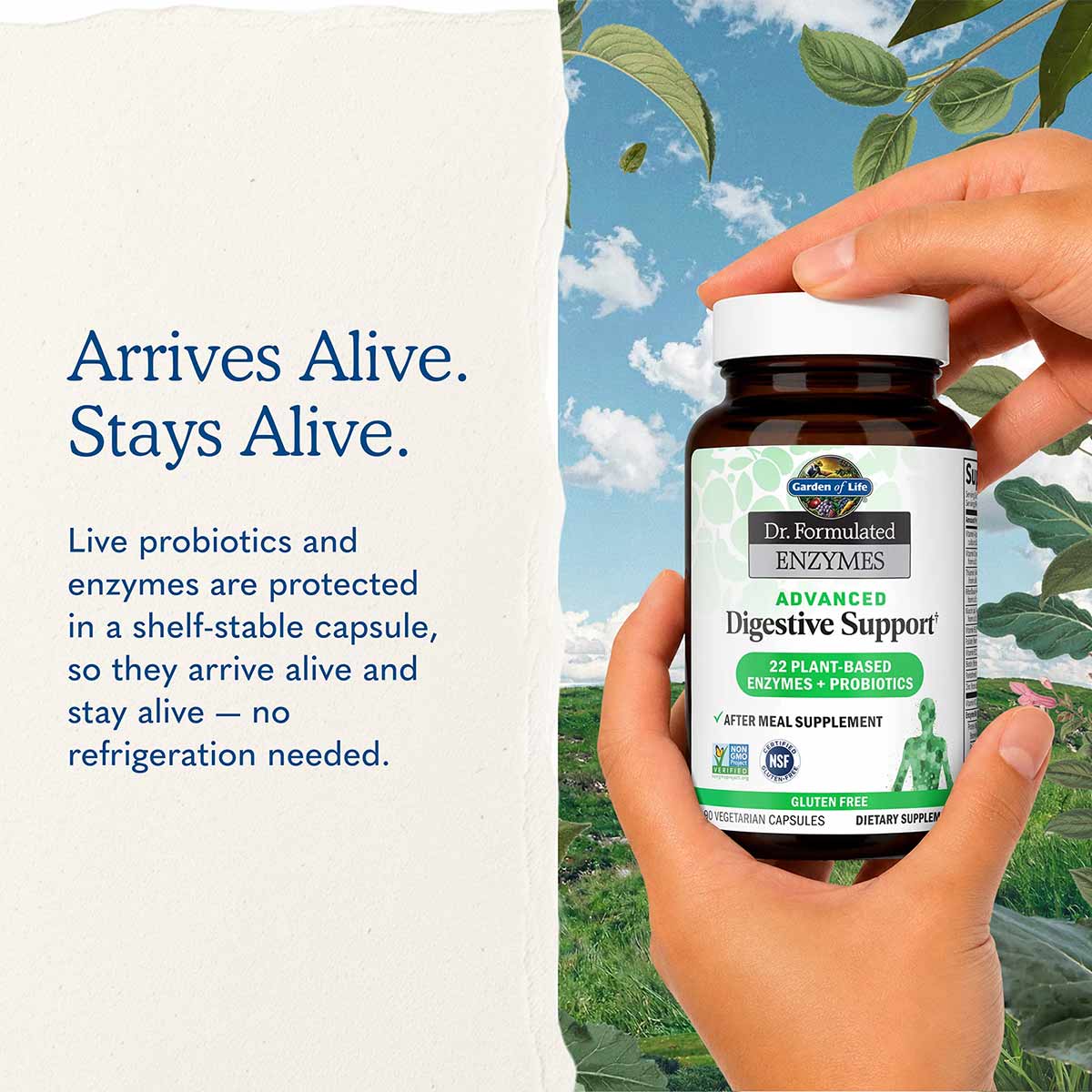 Dr. Formulated Enzymes Advanced Digestive Support, by Garden of Life