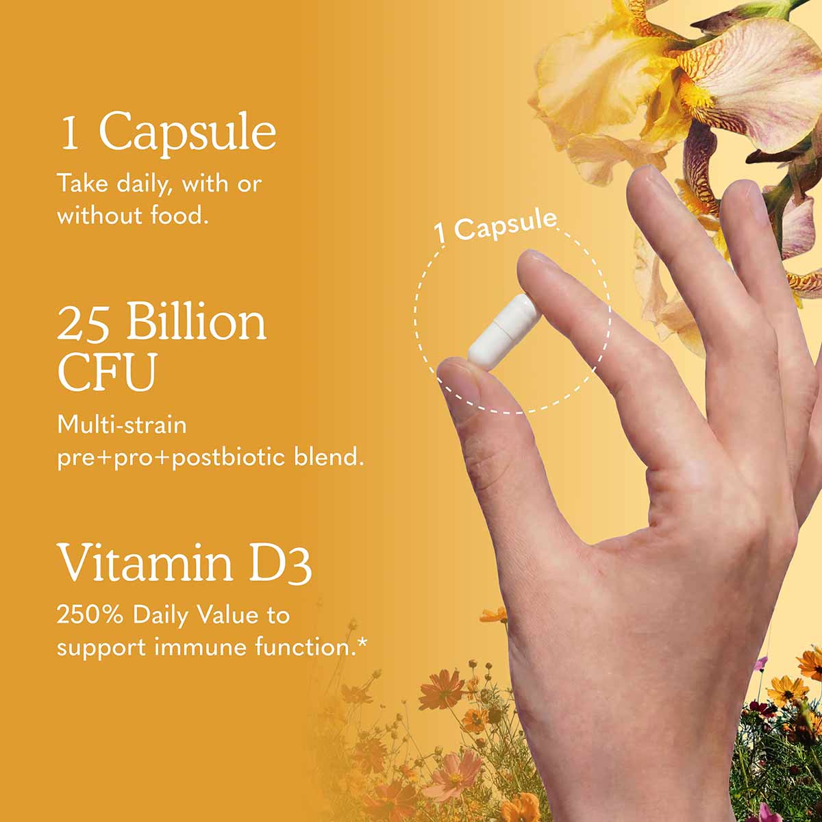 Dr. Formulated Immune Biotic, by Garden of Life