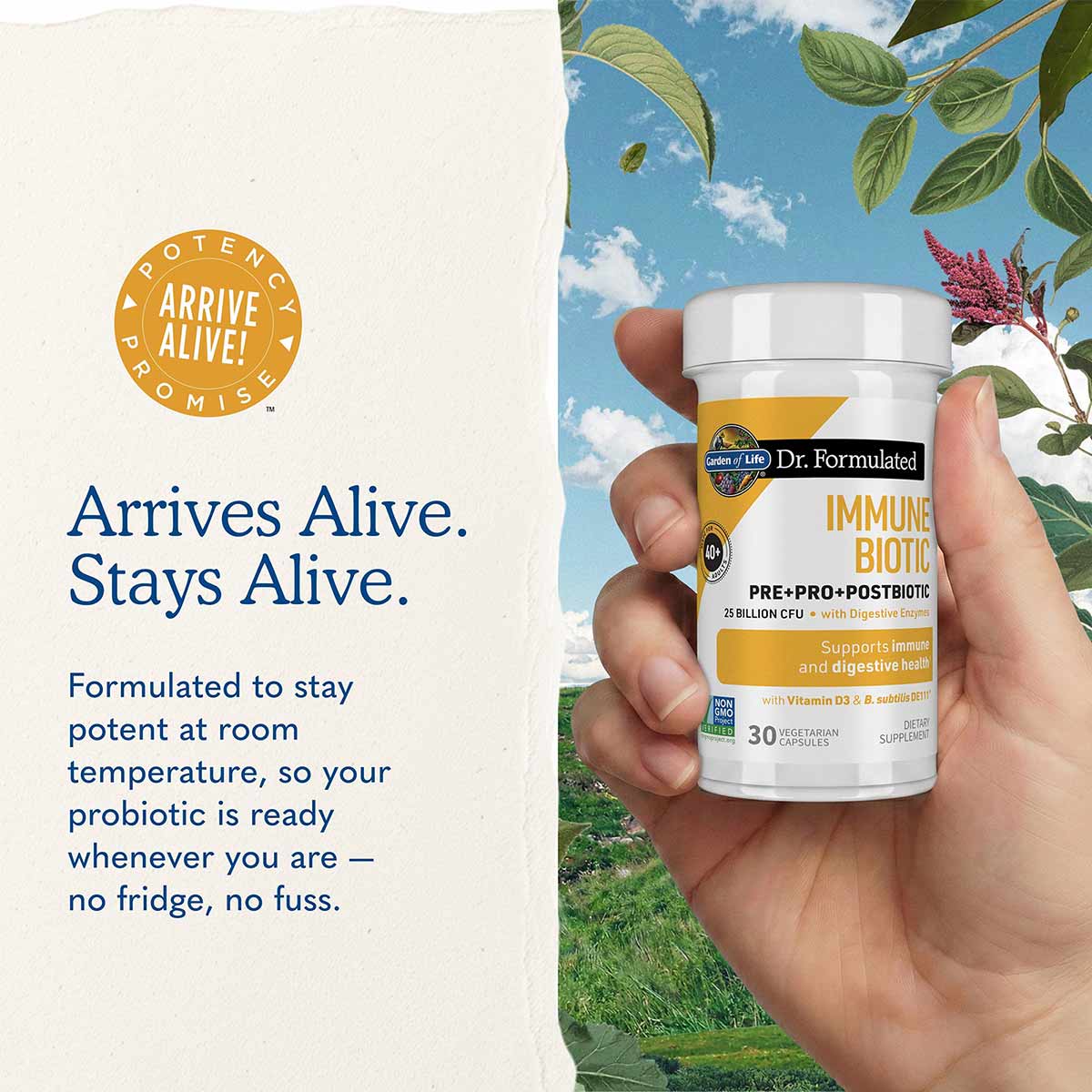 Dr. Formulated Immune Biotic, by Garden of Life