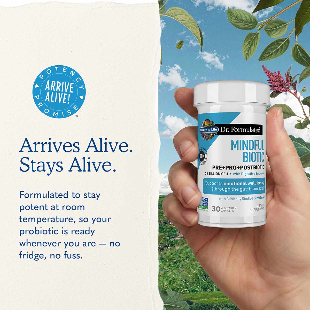 Dr. Formulated Mindful Biotic, by Garden of Life