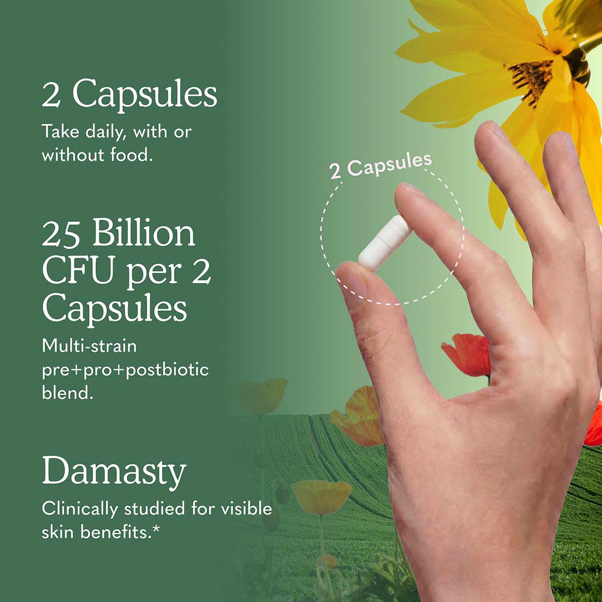 Dr. Formulated Radiance Biotic, by Garden of Life