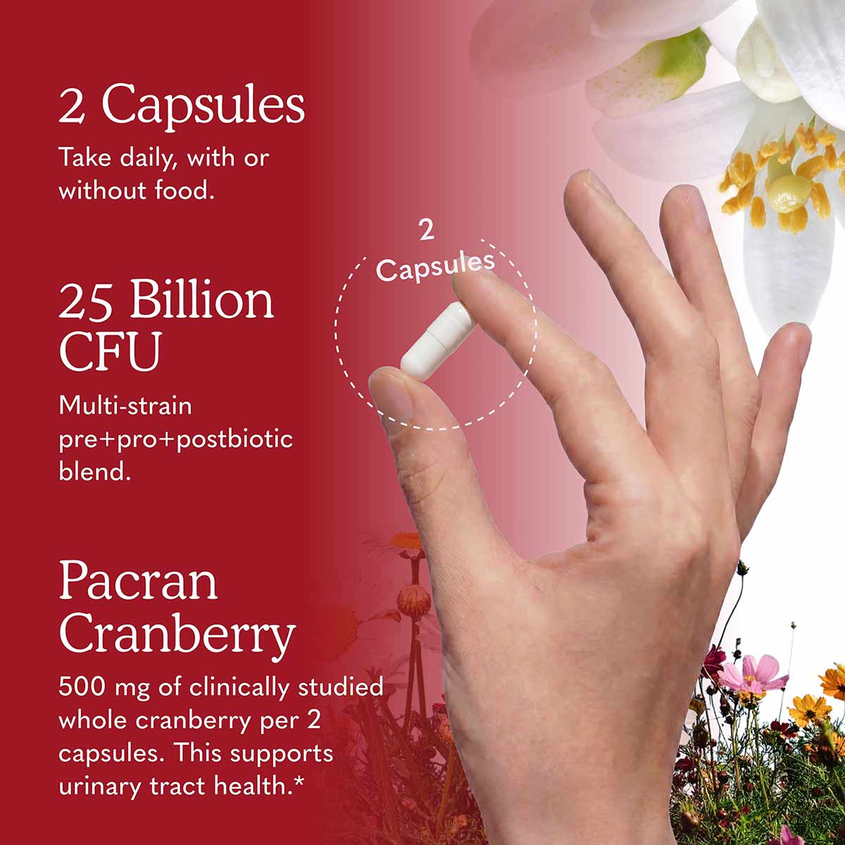Dr. Formulated URO Biotic, by Garden of Life