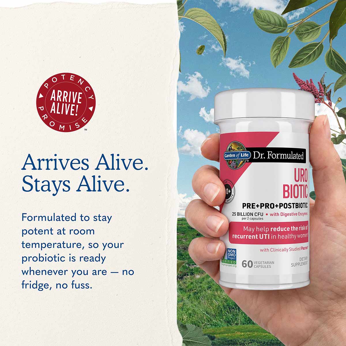Dr. Formulated URO Biotic, by Garden of Life