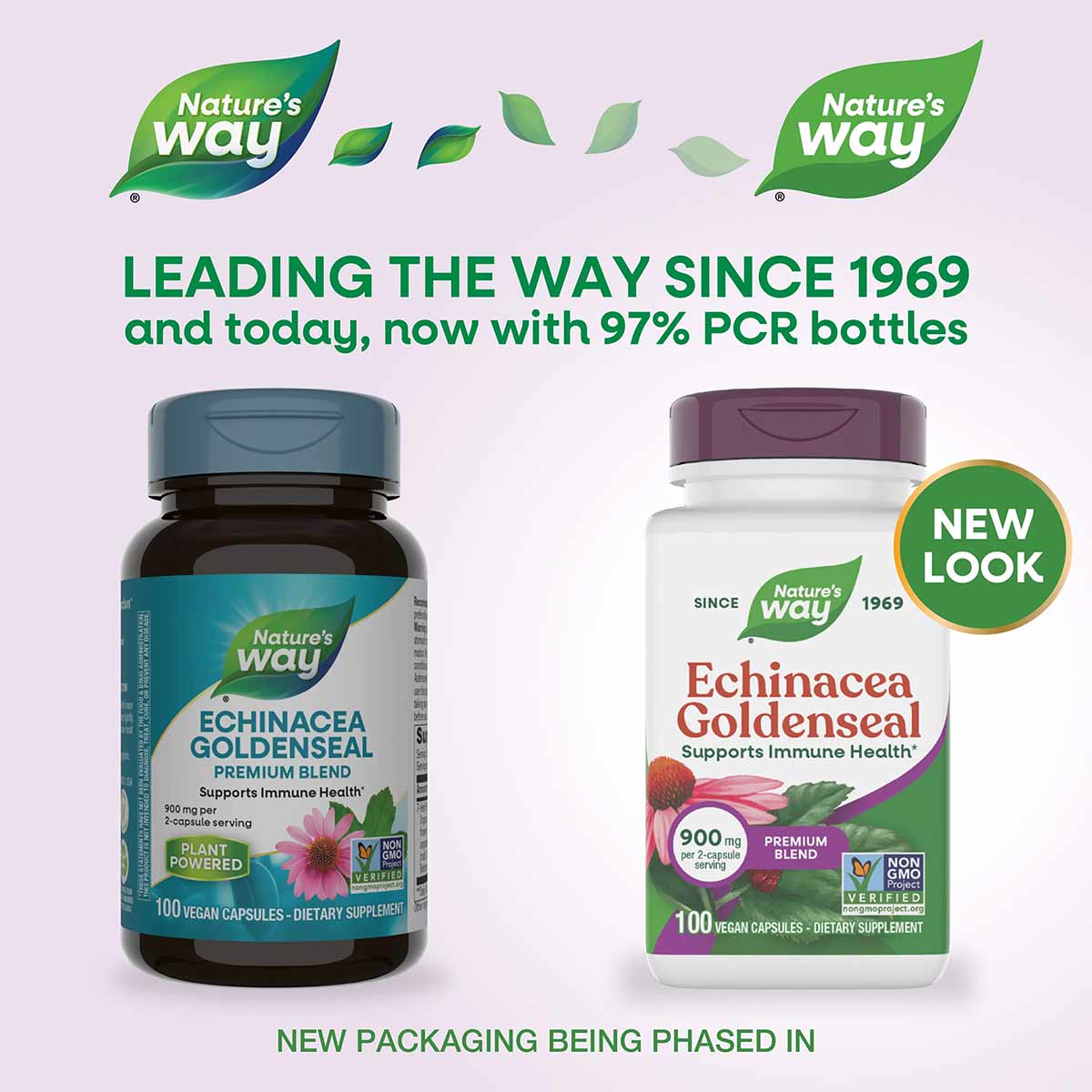 Two bottles of Nature's Way Echinacea Goldenseal Premium Blend dietary supplement with blue and white packaging, each contain