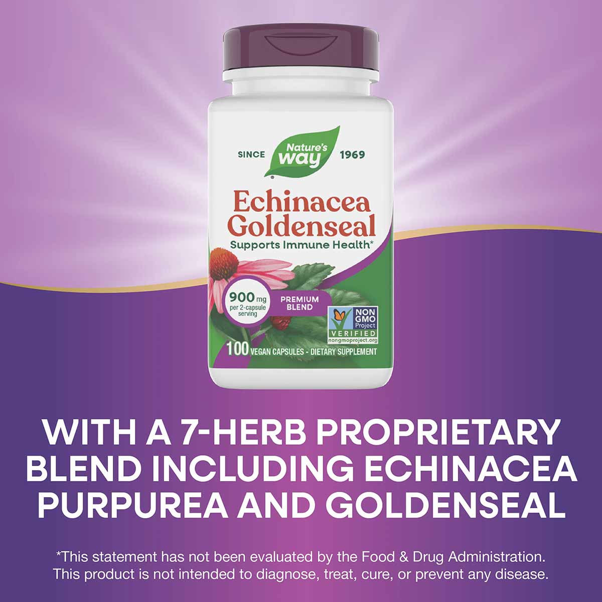 Nature's Way Echinacea Goldenseal bottle with purple cap containing 100 vegan capsules on purple background.