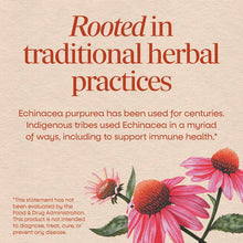 Echinacea purpurea flowers with pink petals and orange-red centers displayed on beige background with text.