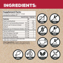 Electrolyte canister label showing supplement facts, ingredients, and certification badges including zero sugar, GMO-free, gl