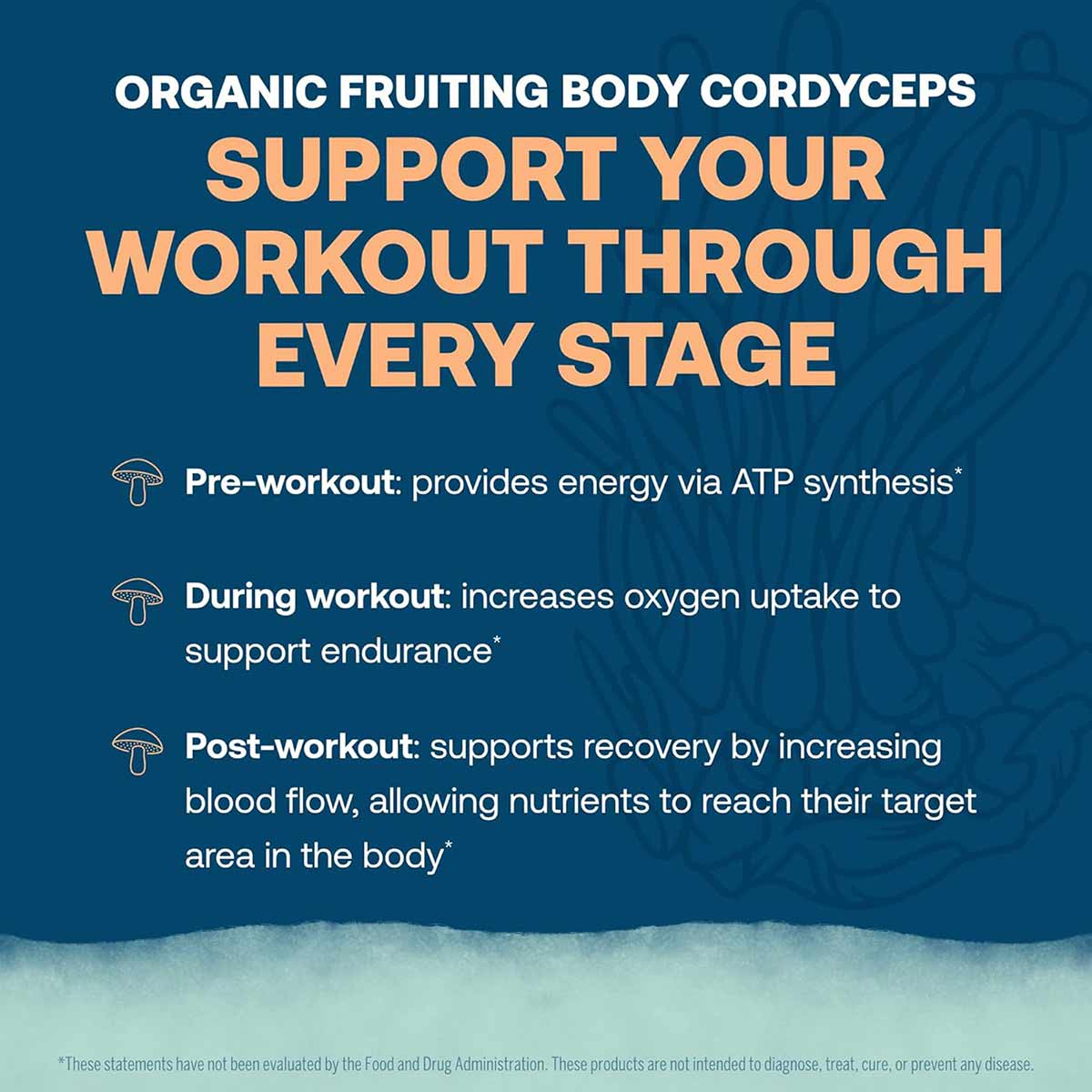 Blue background with orange and white text describing cordyceps benefits for pre-workout, during workout, and post-workout st