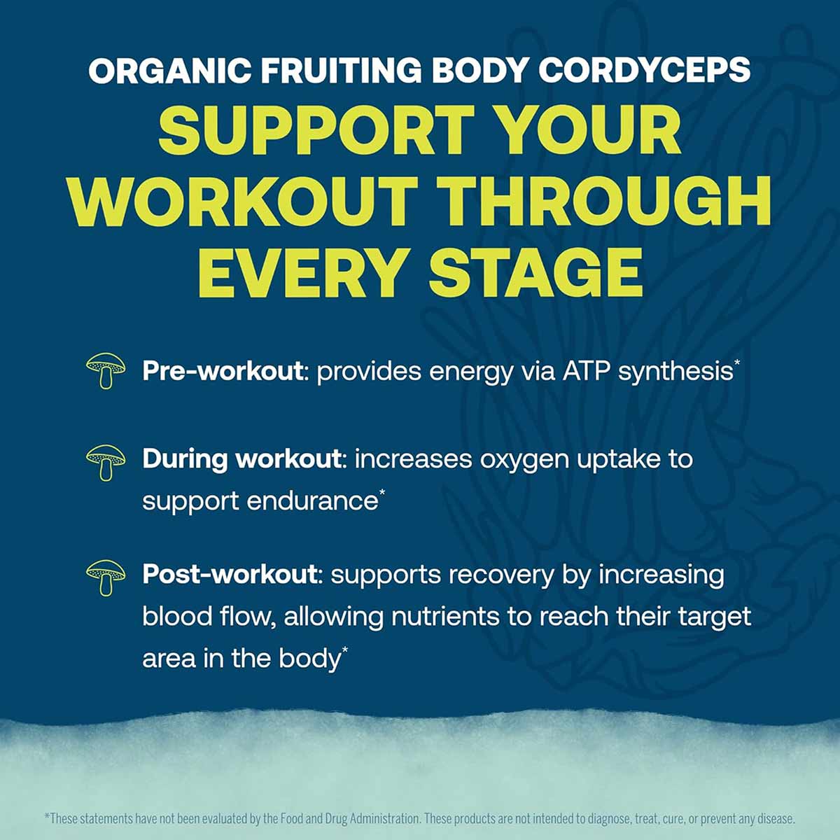 Blue background with white and yellow text describing organic fruiting body cordyceps workout support benefits in three stage