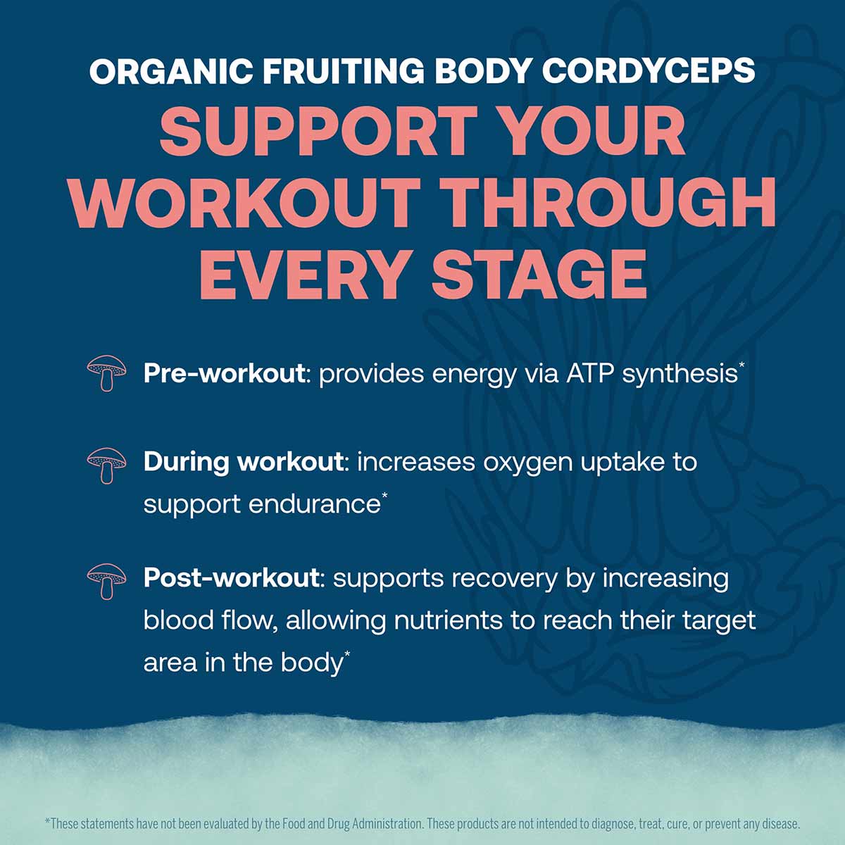 White text on blue background describing ElectroMag Electrolyte Stick benefits for pre-workout, during workout, and post-work