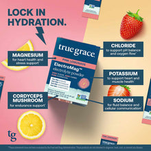 ElectroMag pink lemonade electrolyte powder stick surrounded by lemon, strawberry, and ingredient benefit callouts on split p