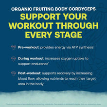 Blue background with white and yellow text describing workout benefits and cordyceps ingredients for an electrolyte supplemen