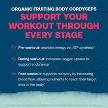 Blue background with white and pink text describing organic fruiting body cordyceps benefits for workout support stages.