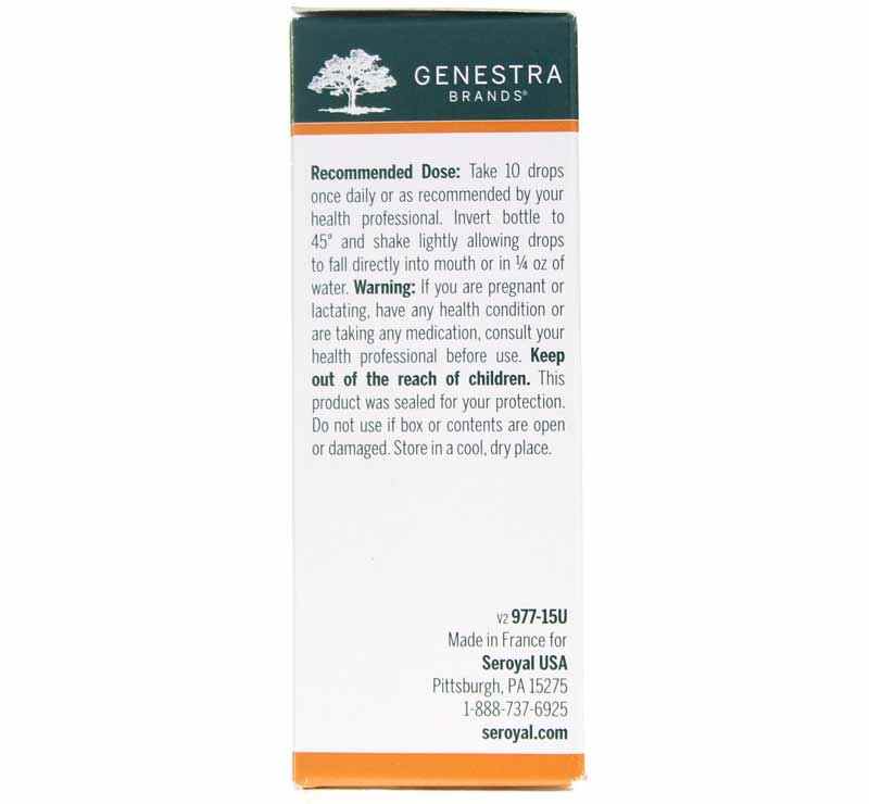 European Mistletoe Young Shoot, by Genestra, image #3