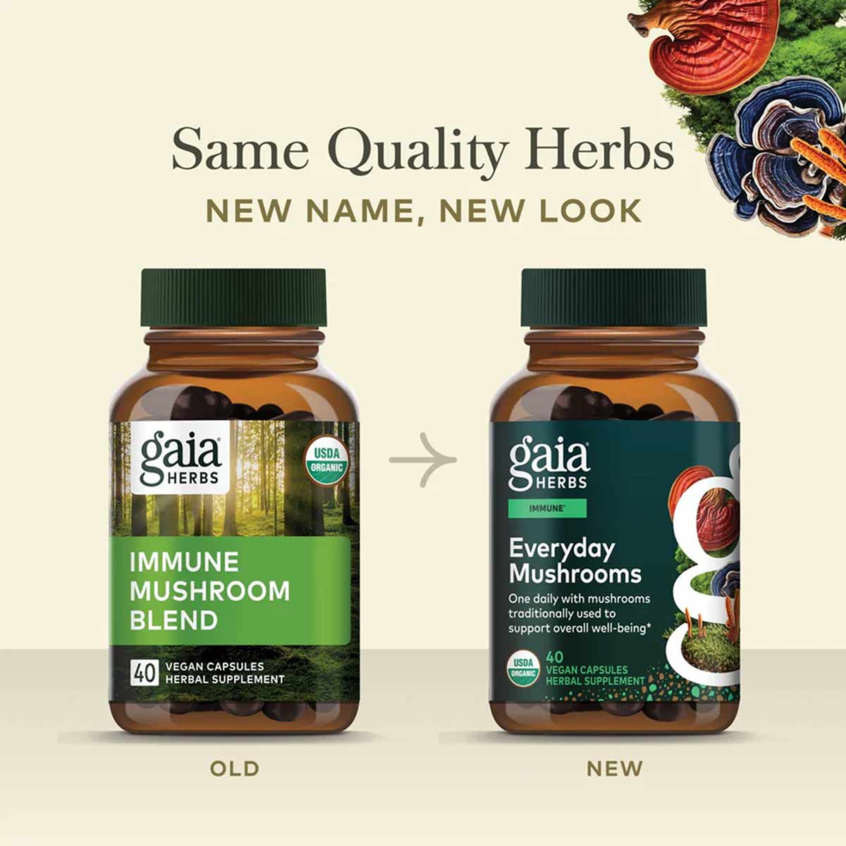 Everyday Mushrooms (formerly Immune Mushroom Blend), by Gaia Herbs