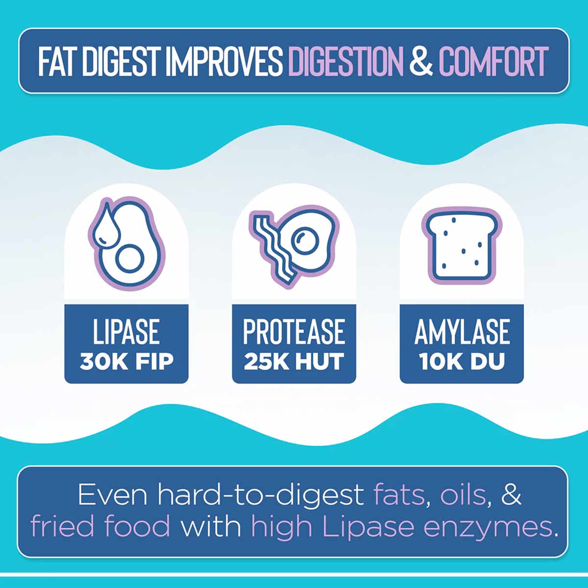 Vital Planet Fat Digest enzyme supplement label showing lipase, protease, and amylase enzyme icons on turquoise background.