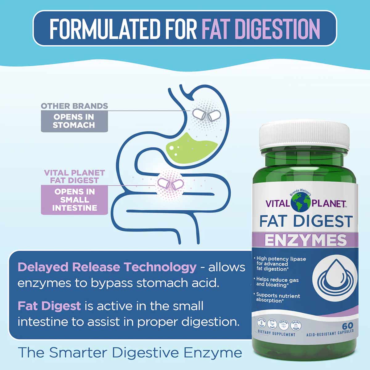 Vital Planet Fat Digest Enzymes green bottle with white cap, 60 capsules, showing digestive system diagram and product benefi