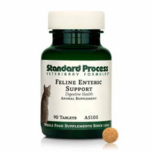 Feline Enteric Support, by Standard Process