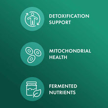 Fermented Broccoli Sprouts, 30 Capsules, by Dr. Mercola, image #3