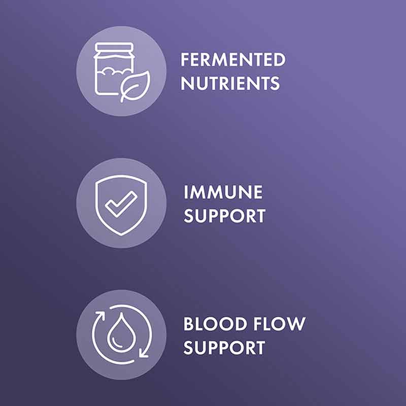 Fermented Elderberry Organic, 60 Capsules, by Dr. Mercola, image #3