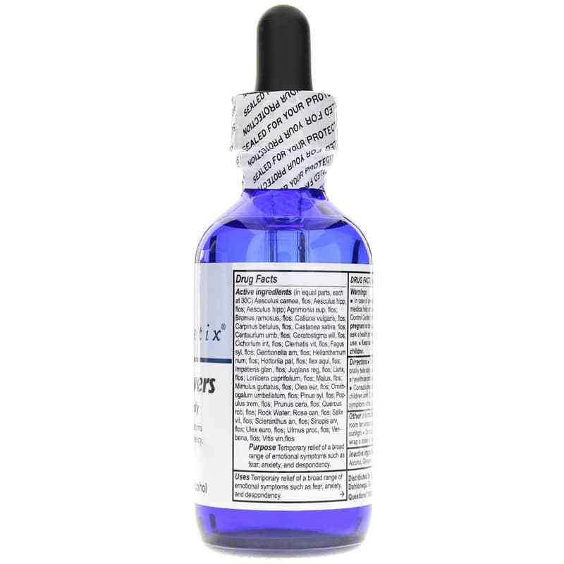 Fields of Flowers, by Energetix, image #2