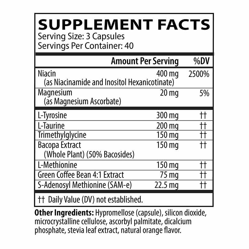 Full Focus, by Neurobiologix, image #2