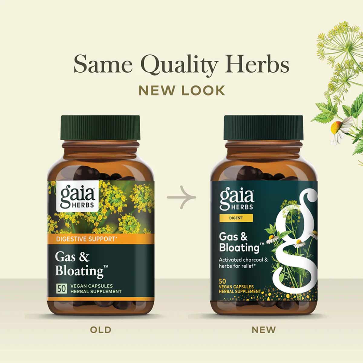 Two amber glass bottles with green caps labeled Gas & Bloating by Gaia Herbs, showing old and new packaging designs.