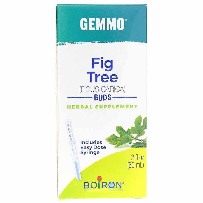 Gemmo Fig Tree - Buds, by Boiron