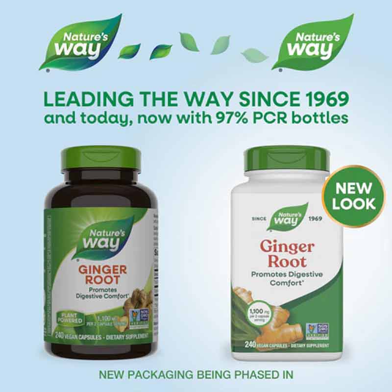 Ginger Root, 240 Veg Capsules, by Natures Way, image #2