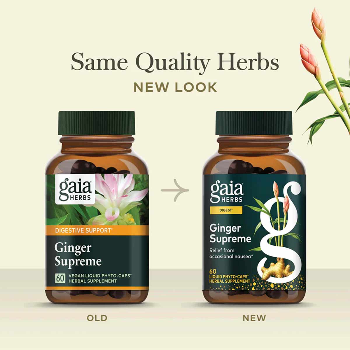 Two amber bottles of Gaia Herbs Ginger Supreme with green caps showing old and new label designs side by side.