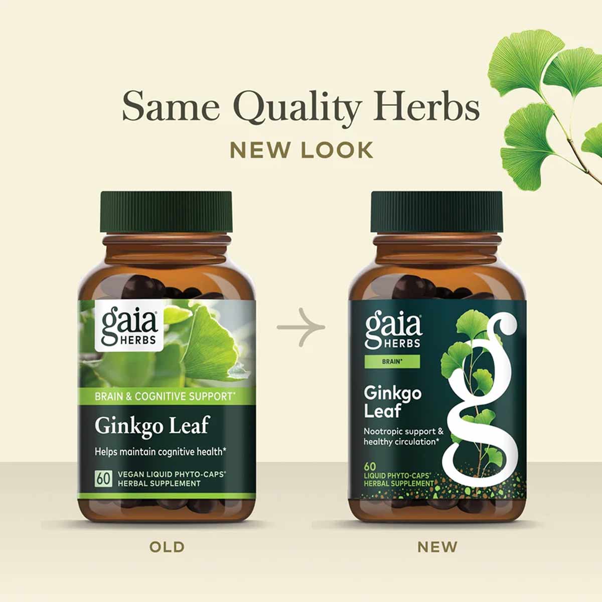 Ginkgo Leaf, by Gaia Herbs