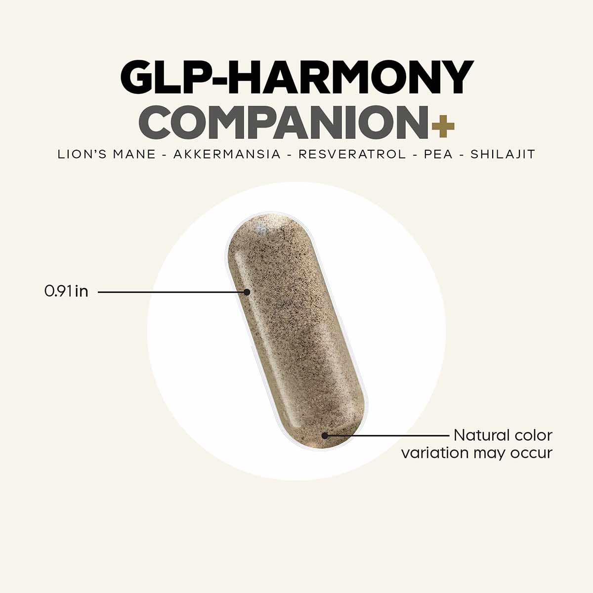Tan capsule supplement measuring 0.91 inches, containing lion's mane, akkermansia, resveratrol, pea, and shilajit.