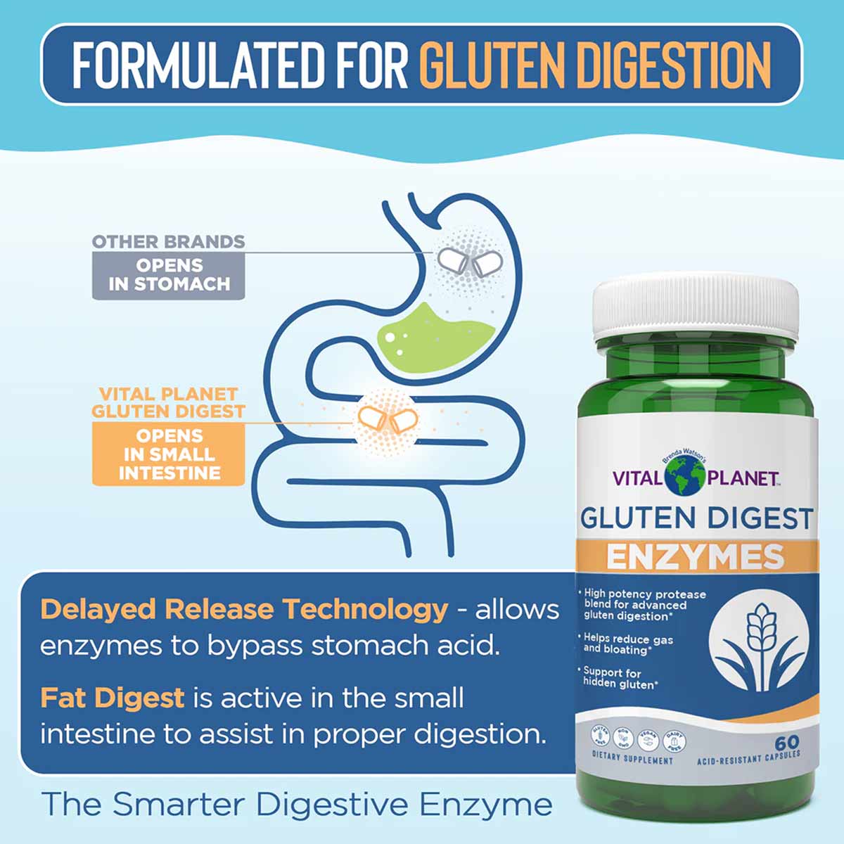 Vital Planet Gluten Digest Enzymes green bottle with white cap, 60 capsules, featuring digestive system diagram and product i