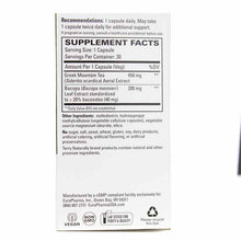 GMT23 Greek Mountain Tea + Bacopa, by Terry Naturally, image #2