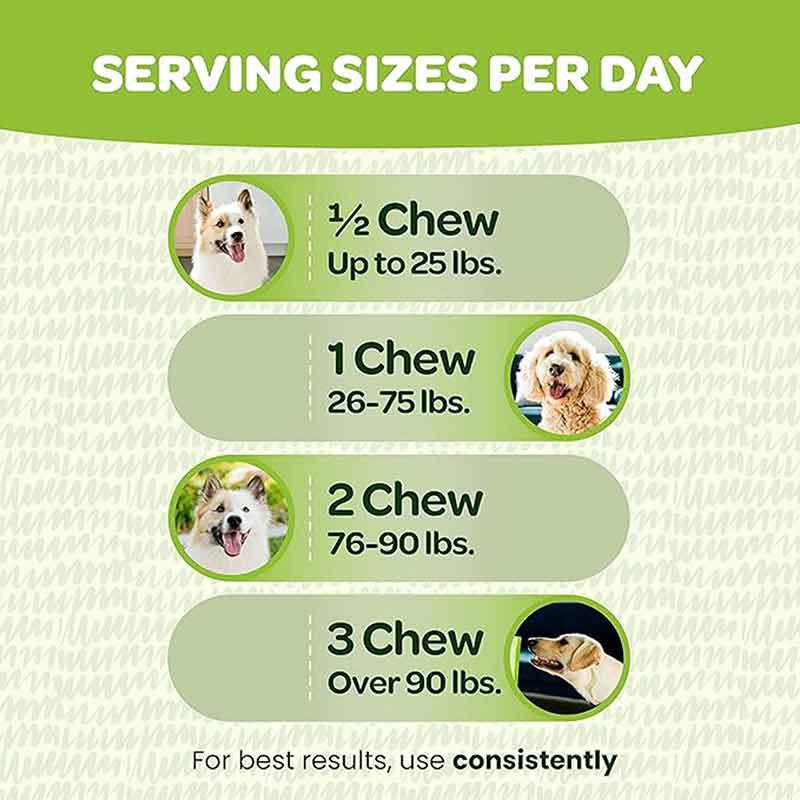 Good Gut Probiotic Chews, Cheese, 60 Chews, by Ready Pet Go!, image #3