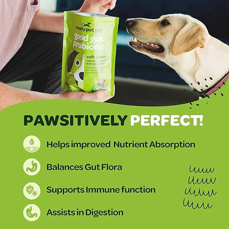 Good Gut Probiotic Chews, Cheese, 60 Chews, by Ready Pet Go!, image #4